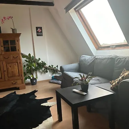 Bochumer Dachnest