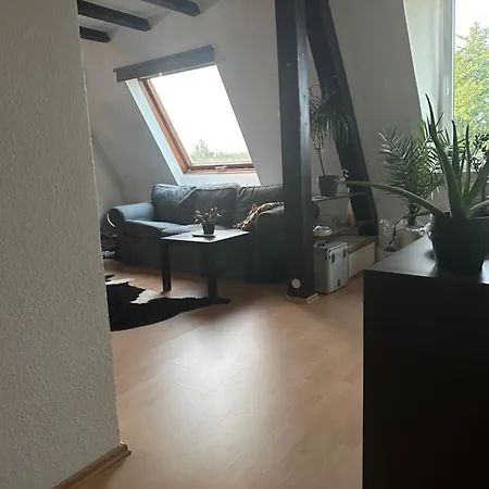Bochumer Dachnest Bochum